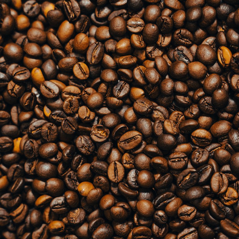 Café especial em grãos