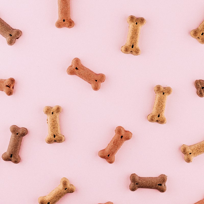 Biscoito de osso para cães